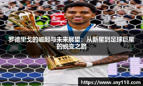mk体育官网入口